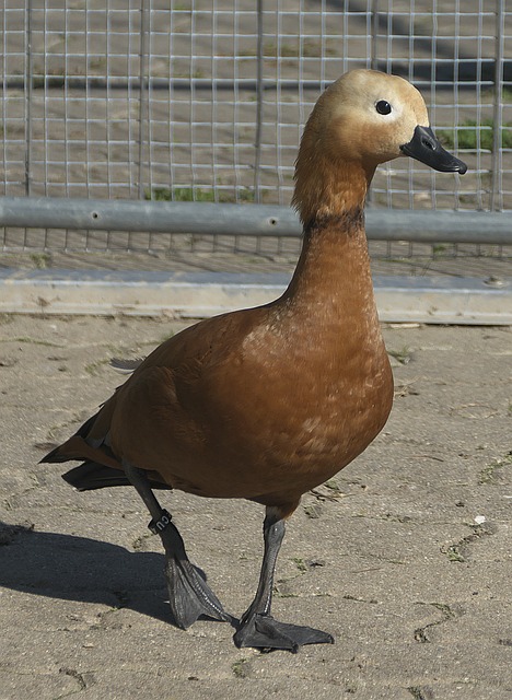 点首发